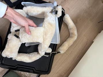 Bont halster beschikbaar voor biedingen