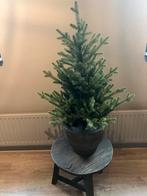 Kunstkerstboompje, Ophalen, Zo goed als nieuw, Buiten