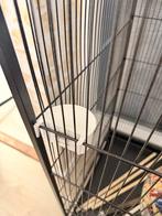 Nieuwe Kamer Voliere, Dieren en Toebehoren, Ophalen of Verzenden, Nieuw, Metaal, Volière