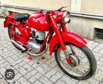 mv agusta 125, Motoren, Bedrijf, 125 cc, 1 cilinder, SuperMoto