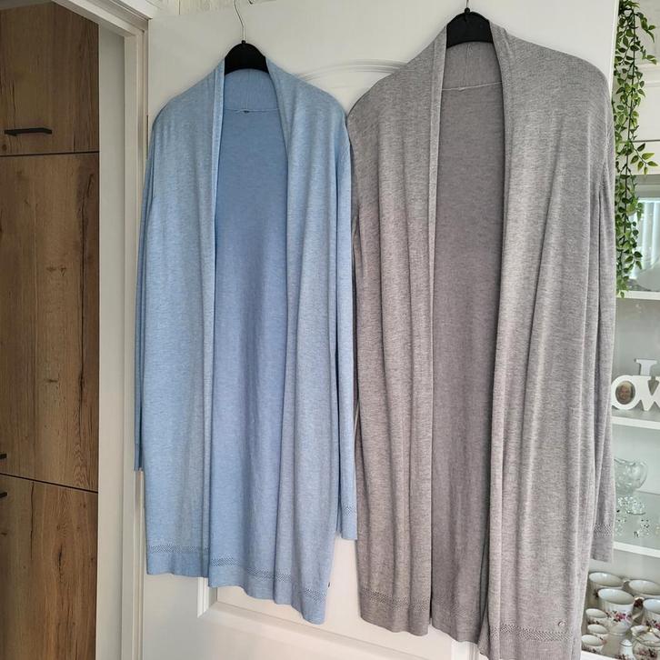 2 Zomer Vesten Maat 38 - Lichtblauw & Grijs, Kleding | Dames, Truien en Vesten, Zo goed als nieuw, Maat 38/40 (M), Blauw, Ophalen of Verzenden