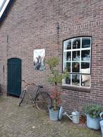 Oude (decoratie)fiets, Ophalen