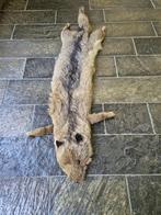 Prachtig vintage dierenvel bont stola c27, Ophalen of Verzenden, Gebruikt, Wild dier, Opgezet dier