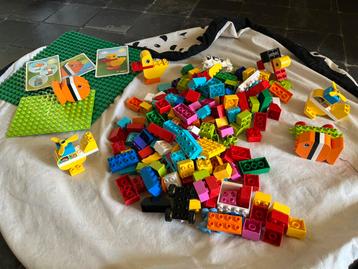 Lego duplo diverse stenen en platen beschikbaar voor biedingen