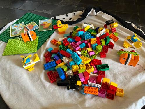 Lego duplo diverse stenen en platen, Kinderen en Baby's, Speelgoed | Duplo en Lego, Zo goed als nieuw, Duplo, Ophalen of Verzenden