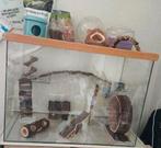 Hamster terrarium / verblijf / hok van glas met inrichting, Dieren en Toebehoren, Knaagdieren en Konijnen | Hokken en Kooien, Zo goed als nieuw