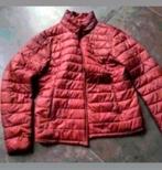 Bordeaux rode tussen jas maat L, Kleding | Dames, Ophalen of Verzenden, Zo goed als nieuw, Maat 42/44 (L), Rood