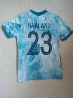 Noorwegen uitshirt 2020/21 - Haaland #22 - maat S, Nike, Zo goed als nieuw, Voetbal, Maat 46 (S) of kleiner