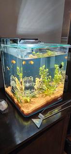 Aquarium Nanocube 30 liter met toebehoren., Zo goed als nieuw, Ophalen