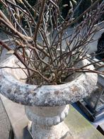 Vaas, Ophalen, Overige kleuren, 50 tot 75 cm, Glas