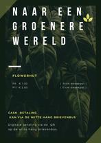 Vetplanten p9, Ophalen of Verzenden, Zomer, Volle zon