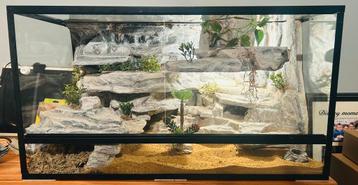 Terrarium 75 x 40 x 40 incl thermostaat, warmtemat beschikbaar voor biedingen