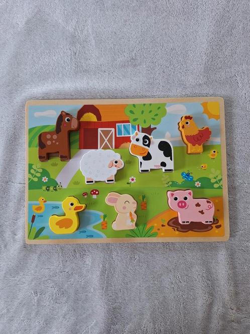 Diverse puzzels hout tbv goed doel, Kinderen en Baby's, Speelgoed | Houten speelgoed, Gebruikt, Overige typen, Ophalen of Verzenden