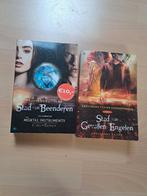 Cassandra Clare  - boek 1 en 4 - kronieken van onderwereld, Boeken, Ophalen of Verzenden, Zo goed als nieuw