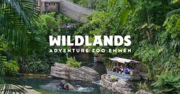 12 x Wildlands e-tickets te koop - snel geleverd!🐒🐒 beschikbaar voor biedingen