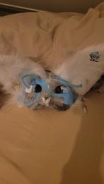 Therian Masker, Ophalen of Verzenden, Zo goed als nieuw