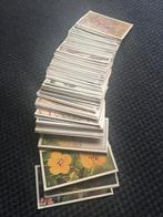 141 plaatjes verkade album winter, Boeken, Ophalen of Verzenden, Gelezen, Jac. P. Thijsse, Plaatjesalbum