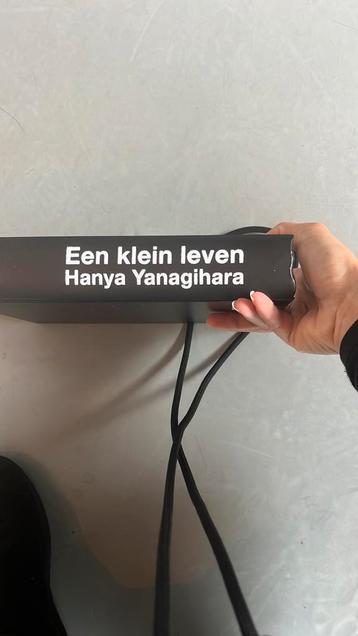 Hanya Yanagihara - Een klein leven beschikbaar voor biedingen