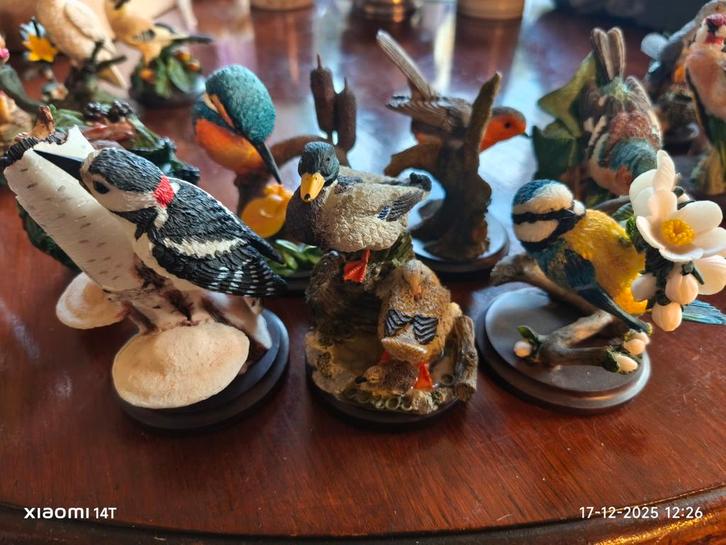 Verzameling Handgeschilderde Vogelfiguren, Verzamelen, Beelden en Beeldjes, Zo goed als nieuw, Ophalen of Verzenden