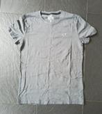 hollister must-have collection shirts maat XS, Kleding | Heren, T-shirts, Nieuw, Maat 46 (S) of kleiner, Ophalen of Verzenden