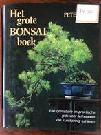 Het grote Bonsai boek, Boeken, Wonen en Tuinieren, Peter Chan, Overige soorten, Ophalen of Verzenden, Zo goed als nieuw