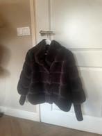 Super mooi donkerbruin jasje van alter ego maat L, Kleding | Dames, Jasjes, Kostuums en Pakken, Ophalen, Bruin, Maat 42/44 (L)