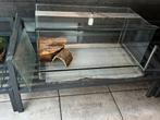 Knaagdier terrarium 100x50x50 inclusief warmtelamp, Gebruikt, Hamster, Hok, 75 tot 110 cm