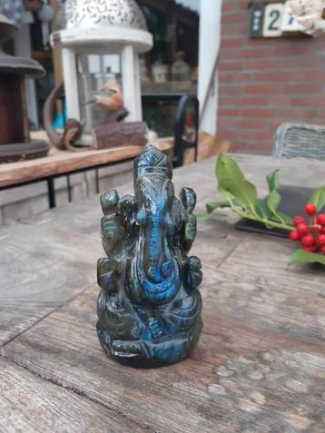 Ganesha labradoriet beschikbaar voor biedingen