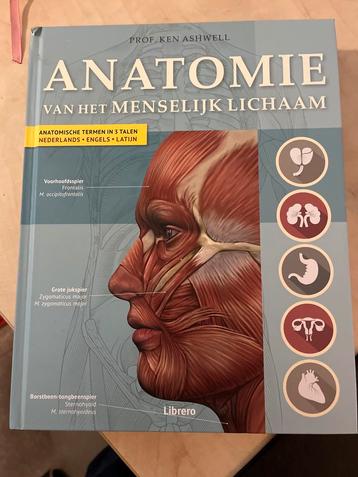 Anatomie van het menselijk lichaam - Ken Ashwell beschikbaar voor biedingen