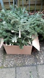 Gratis kerst takken vers., Ophalen of Verzenden, Nieuw