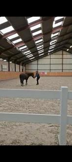 instructie aangeboden, Diensten en Vakmensen, Dieren | Paarden | Verzorging, Oppas en Les, Paardrijles of Ponykampen