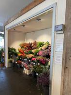 Koelcel bloemenwinkel, Ophalen, Gebruikt