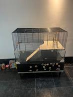 Grote hamsterkooi met toebehoren, Dieren en Toebehoren, Knaagdieren en Konijnen | Hokken en Kooien, Ophalen, Kooi, Gebruikt, 60 tot 90 cm