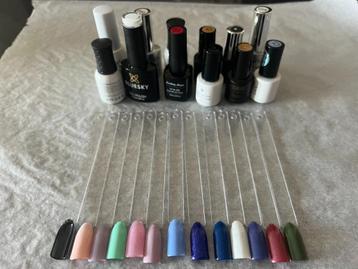 12 kleuren Gellak beschikbaar voor biedingen