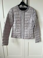Kingsland jasje, Dieren en Toebehoren, Paardrijkleding, Gebruikt, Overige soorten, Ophalen of Verzenden, Dames