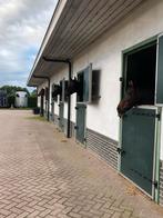 Pensionstalling met binnenrijbaan in Renswoude 💚1 box vrij, Dieren en Toebehoren, 2 of 3 paarden of pony's, Stalling