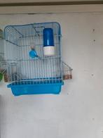 Zangkooi, Ophalen of Verzenden, Zo goed als nieuw, Kunststof, Vogelkooi