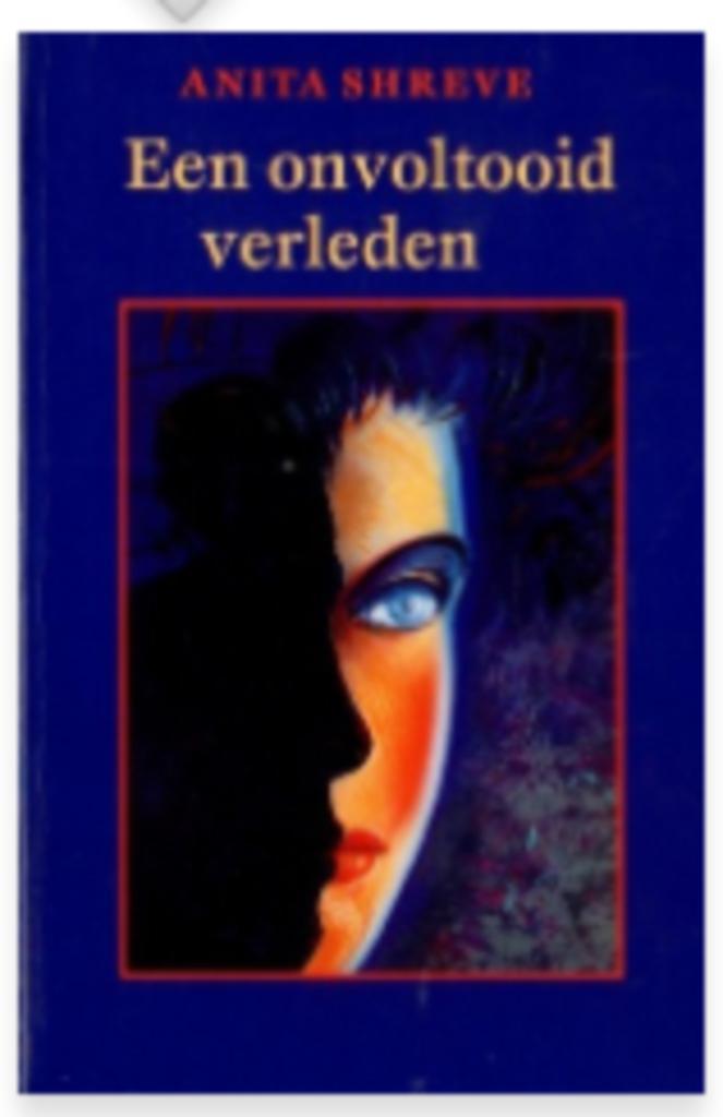 Anita Shreve - Een voltooid verleden, Boeken, Romans, Zo goed als nieuw, Ophalen of Verzenden