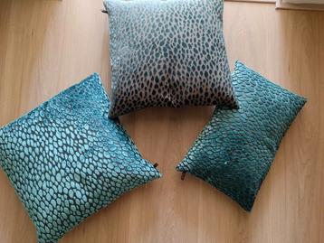 Claudi kussens beschikbaar voor biedingen