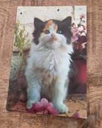 Lieve kitten, Verzamelen, Verzenden, Ongelopen, Hond of Kat
