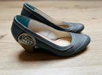 leuke pumps , kleur blauw maat 40, Kleding | Dames, Schoenen, Ophalen, Blauw, Ballerina's, Zo goed als nieuw