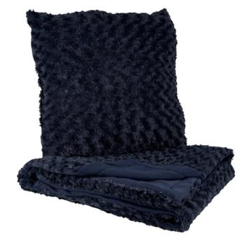 Sier kussen en plaid set beschikbaar voor biedingen