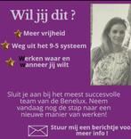 Wil jij meer vrijheid en meer tijd?, Variabele uren, Overige niveaus, Starter, Overige vormen