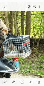 Hondenmand /bak, Dieren en Toebehoren, Honden-accessoires, Ophalen, Gebruikt