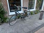 Batavus allegro damesfiets, Ophalen, Versnellingen, Batavus, 53 tot 56 cm
