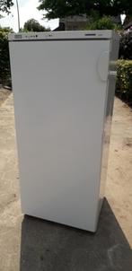 Vriezer Liebherr comfort / Vrieskast Liebherr, Gebruikt, 160 cm of meer, Ophalen, Vrieskast