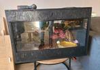 Terrarium 80x50x50, Dieren en Toebehoren, Ophalen, Zo goed als nieuw, Terrarium of Paludarium