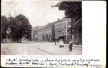 Driel (Gld.), Bommelerwaard, Delkant Oostzijde, gelopen 1901 beschikbaar voor biedingen