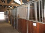 stalling en weidegang, Weidegang, 1 paard of pony