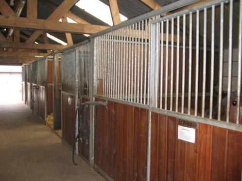 stalling en weidegang, Dieren en Toebehoren, Stalling en Weidegang, Stalling, Weidegang, 1 paard of pony